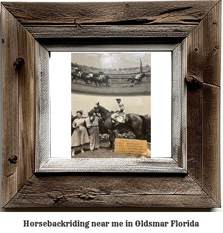 horseback riding near me in Oldsmar, Florida